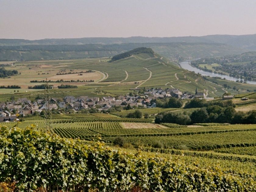 Ferienwohnung 1 Classic mit Balkon im Weingut Harald Ludwig 