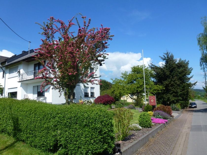 Ferienwohnung 3 Auslese mit Terrasse im Weingut Harald Ludwig an der Mittelmosel