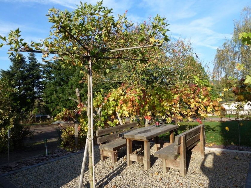 Ferienwohnung 3 Auslese mit Terrasse im Weingut Harald Ludwig an der Mittelmosel