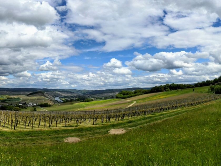 Ferienwohnung 3 Auslese mit Terrasse im Weingut Harald Ludwig an der Mittelmosel