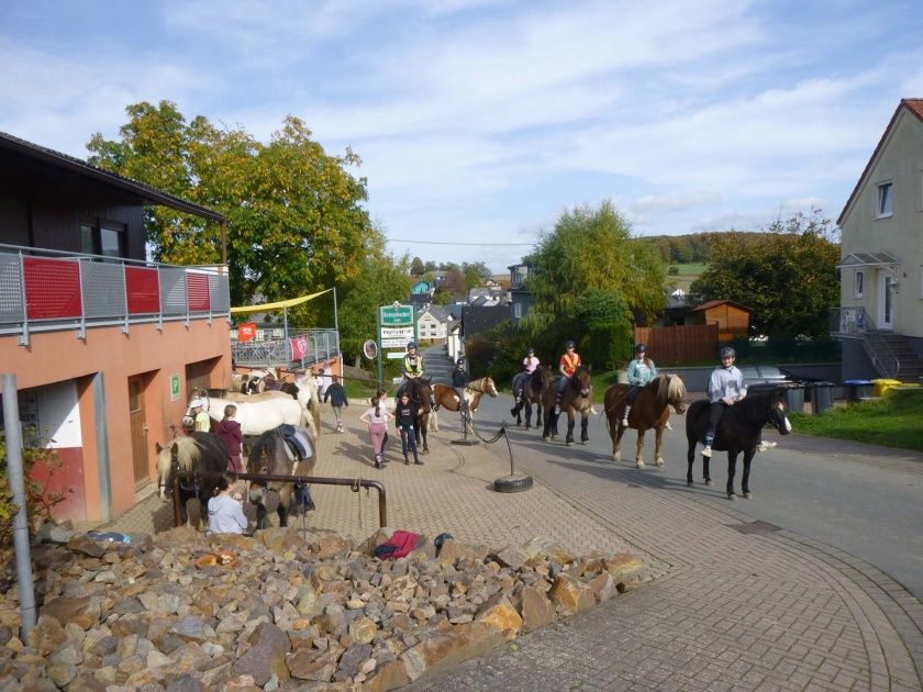 Reit- und Fahrstall Ponyhof Ludwig