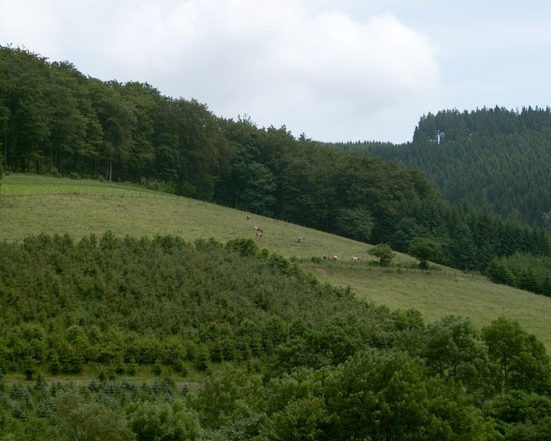 Ferienwohnung Landenbeckerhof