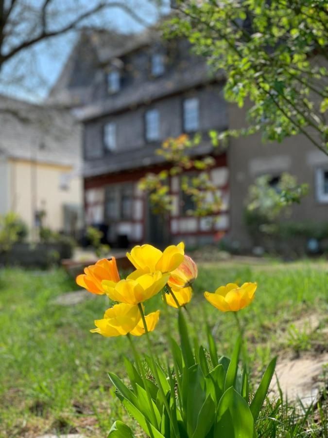 Ferienwohnungen Altes Zehnthaus Geierlay