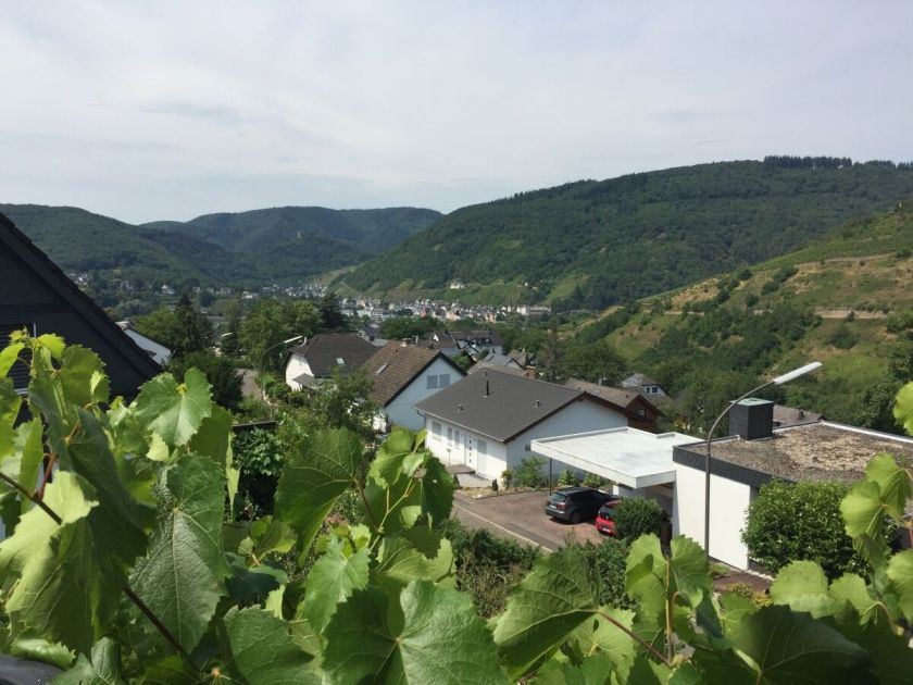 Ferienwohnung Panoramablick