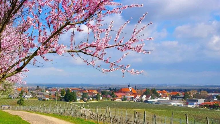 Ferienwohnung Wachtenburg