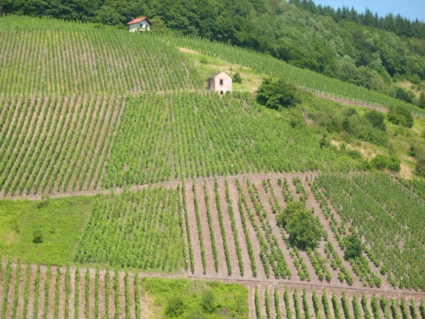 Ferienwohnung Zur Burg