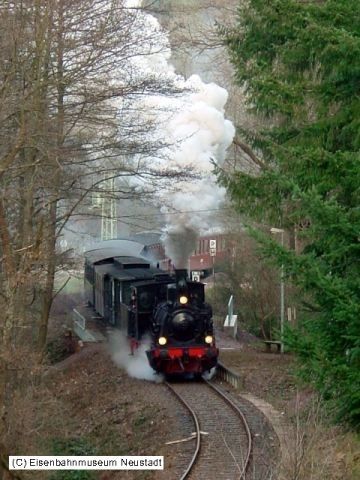 Mit Volldampf durch den Pfälzerwald