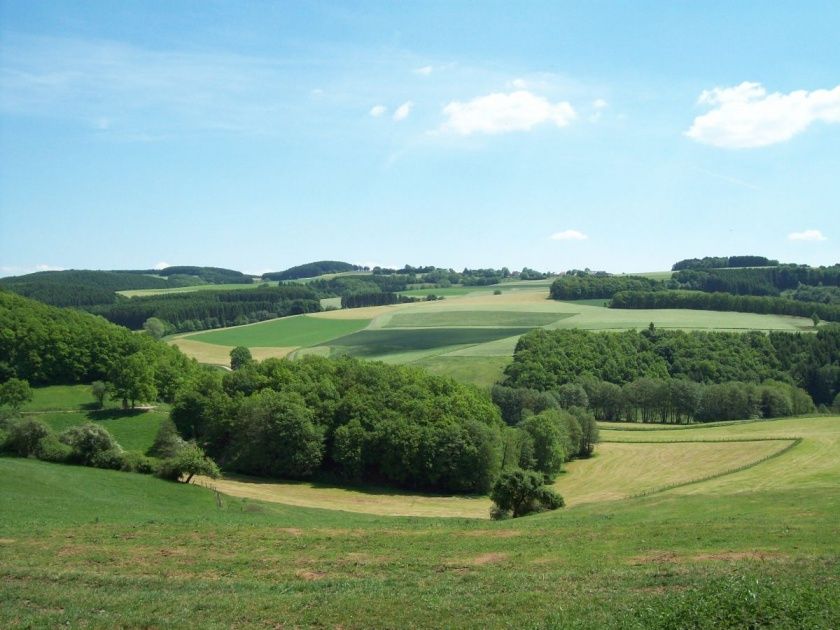 Ferienhaus Feinen