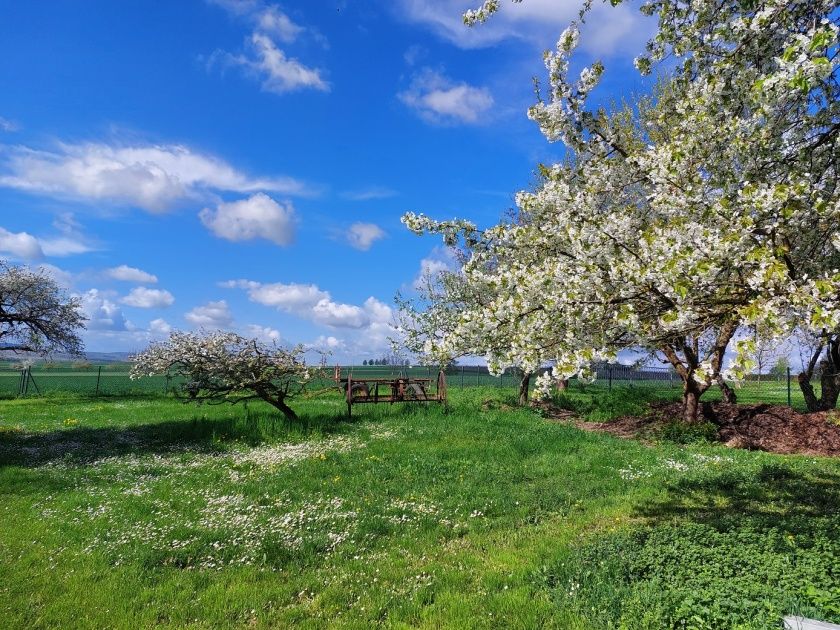 Ferienwohnung Auszeit am Wißberg