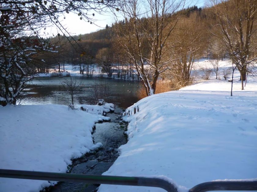 Ferienhaus Waldsee