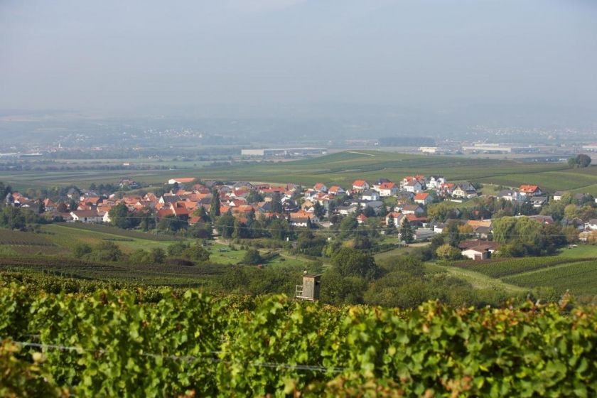 Weingut und Ferienwohnungen Huff-Doll