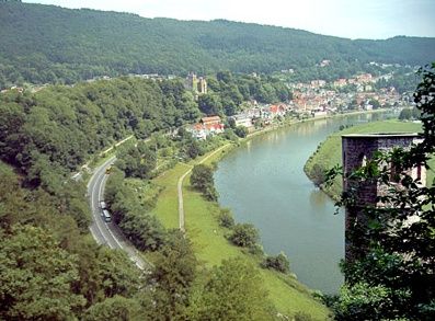Blick über die romantische Neckar