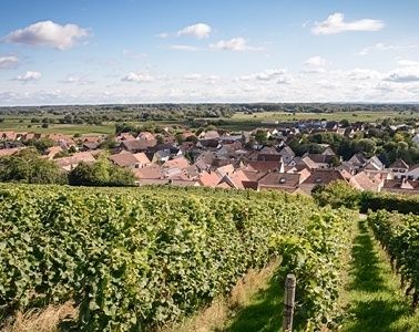 Wein- & Sektgut Gästezimmer Otto Becker