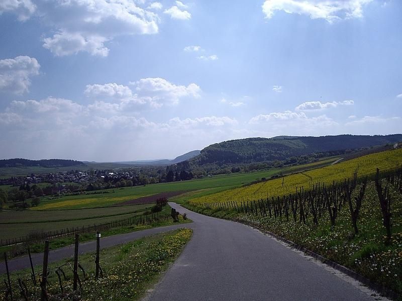 Weingut & Ferienwohnung Winfried Winter - Urlaub auf dem Winzerhof - Mittelmosel