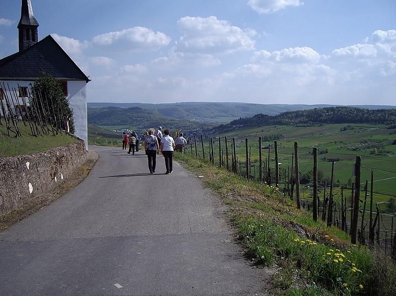 Weingut & Ferienwohnung Winfried Winter - Urlaub auf dem Winzerhof - Mittelmosel