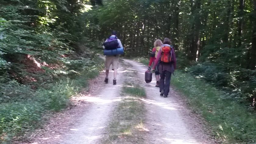 Soonwald für Suchende