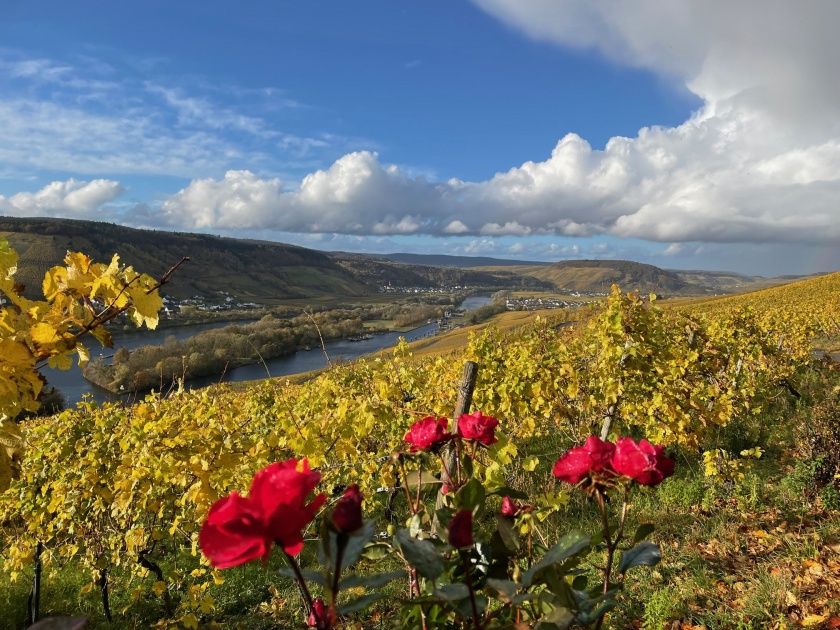 Wein-Zeit-Wochenende