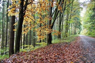 Hotels, Campingplätze und Ferienwohnungen in Schlüchtern