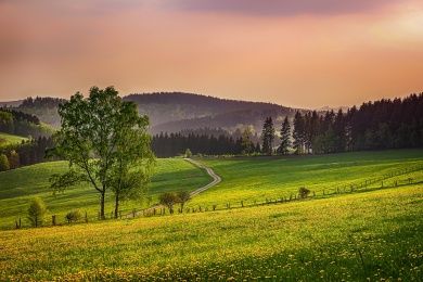 Hotels, Campingplätze und Ferienwohnungen in Marsberg