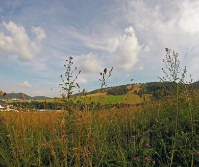 Hotels, Campingplätze und Ferienwohnungen in Willingen Upland