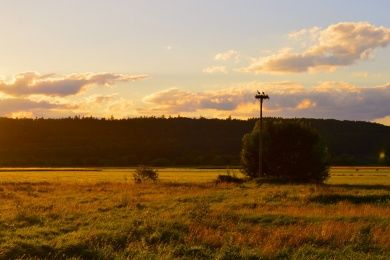 Hotels, Campingplätze und Ferienwohnungen in Nidda