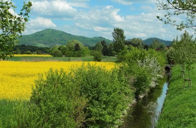 Hotels, Campingplätze und Ferienwohnungen in Wald-Michelbach