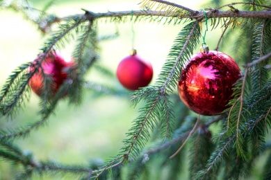 Weihnachtsmarkt Meisenheim