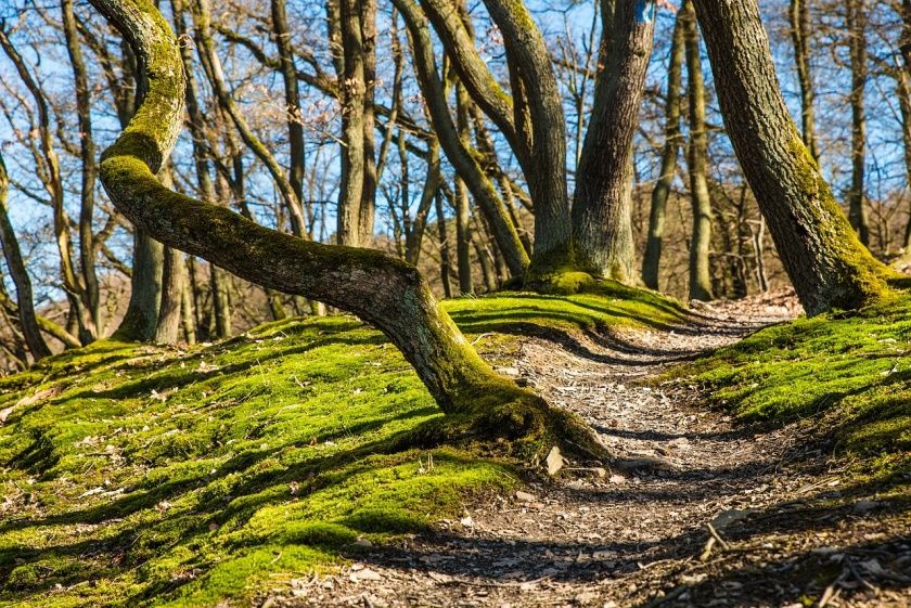 NaturaTrail Heinzemanntour