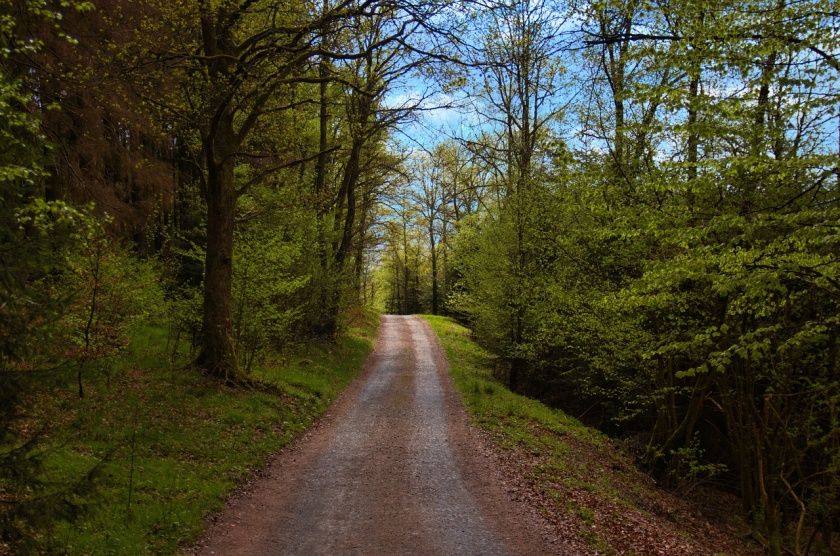 Rothaarsteig-Spur Trödelsteinpfad