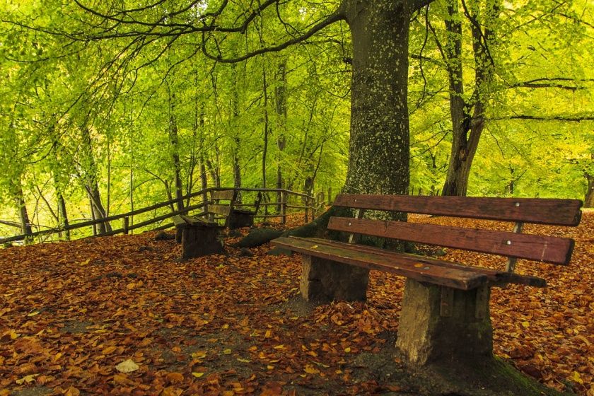 Mühlenpfad im Ostertal