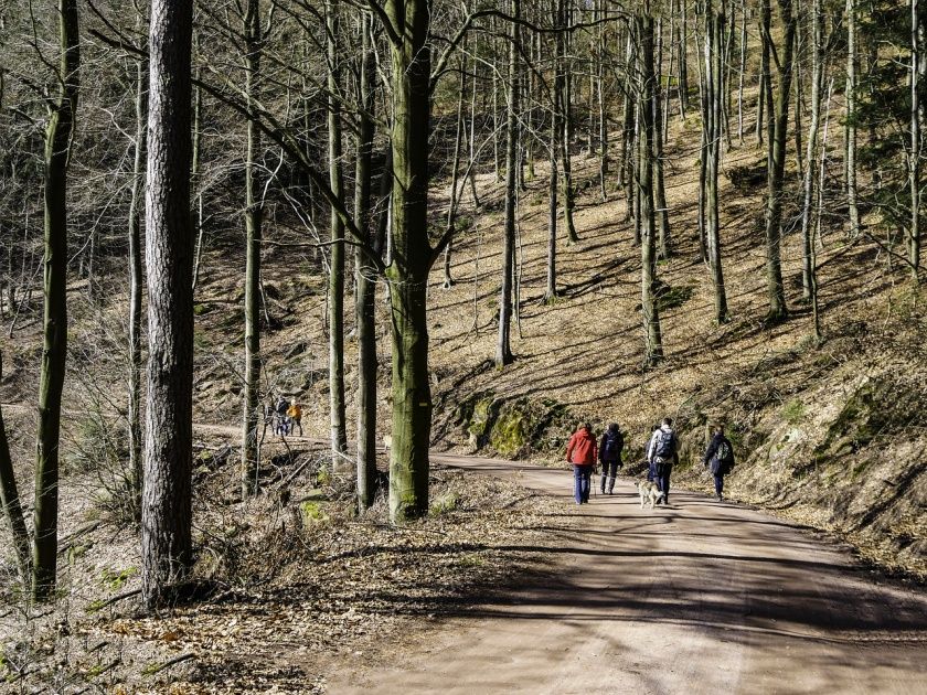 Leininger Klosterweg