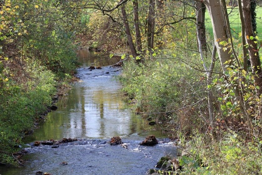 Golddorf-Route Wenholthausen