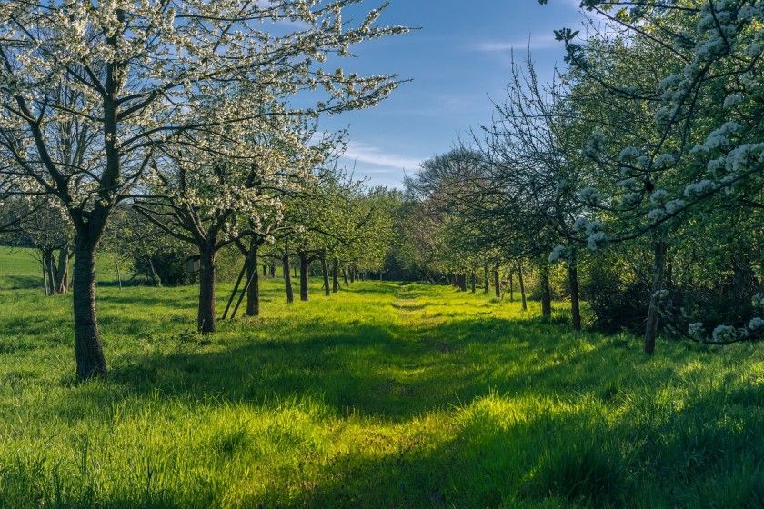 Dreifürstensteig