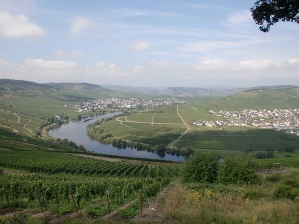 Mosel Camino Pilgerweg Koblenz nach Trier