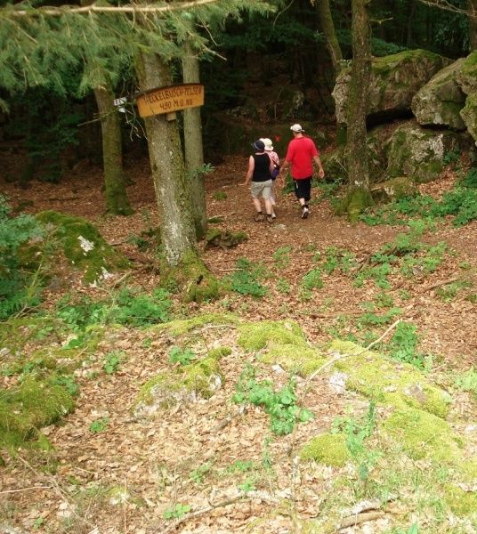 Traumschleife „Ruwer-Hochwald Schleife“